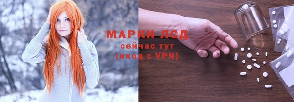 PSILOCYBIN Покачи