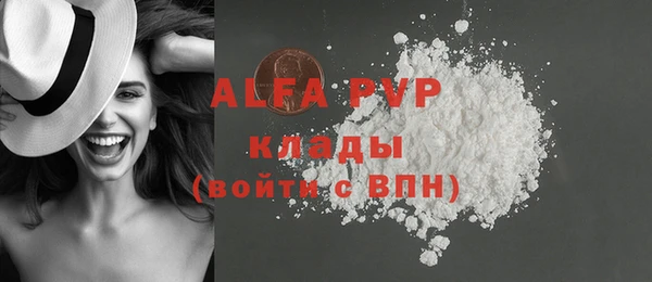 PSILOCYBIN Покачи