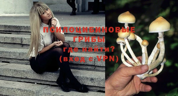 сатива Губаха