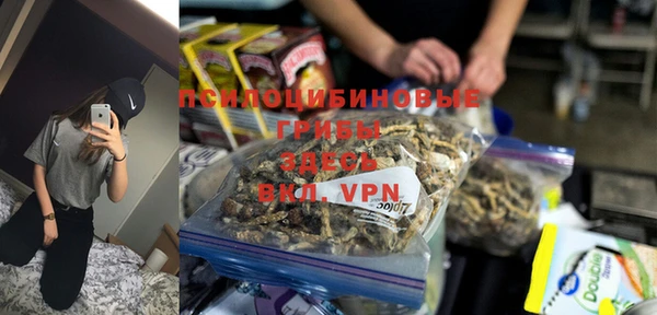 apvp Покровск