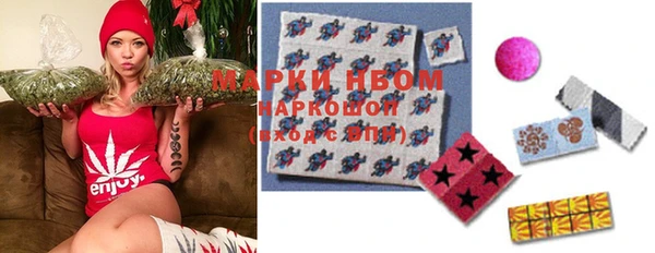 PSILOCYBIN Покачи