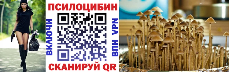 Галлюциногенные грибы Psilocybe Сергач